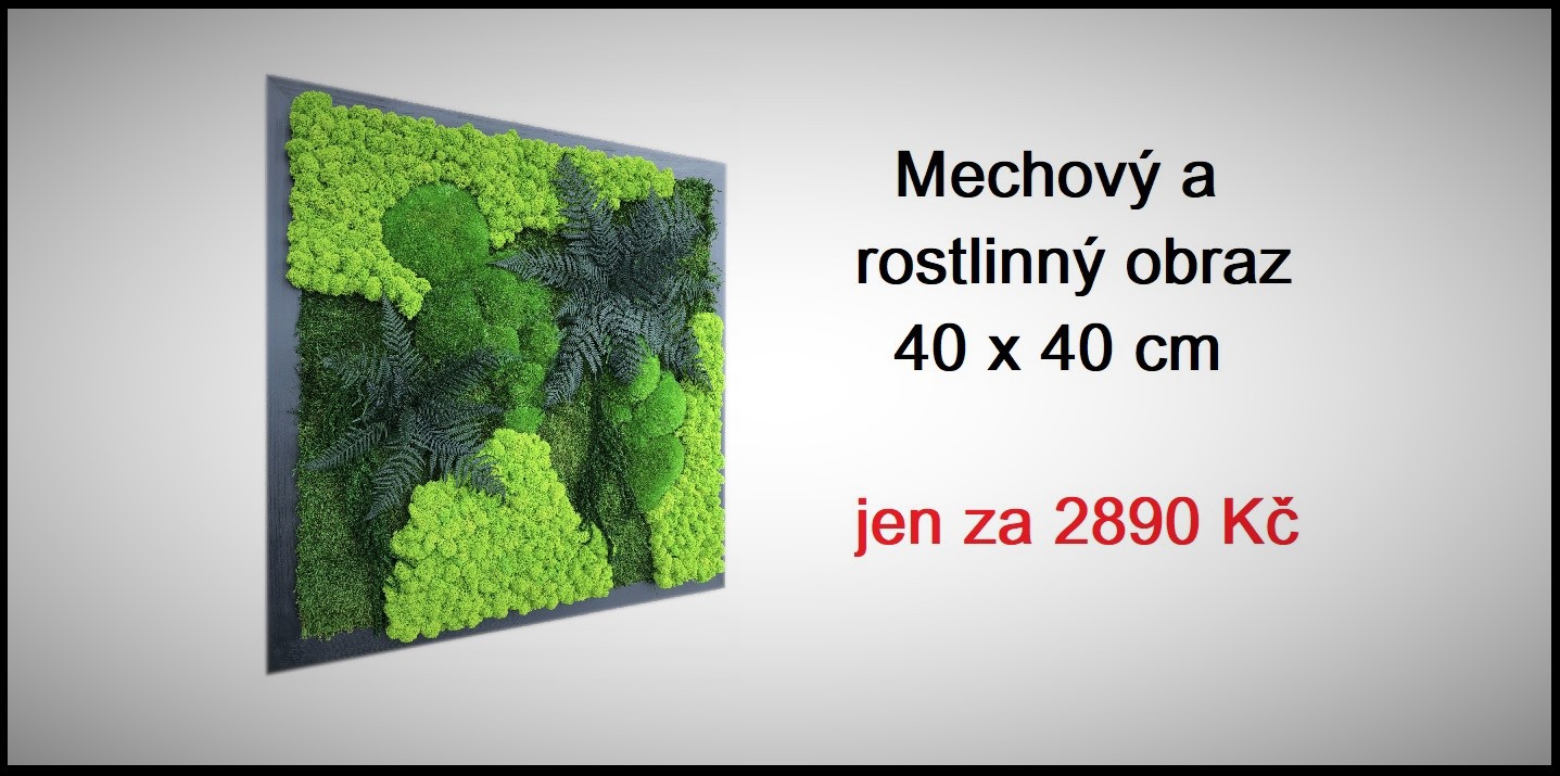Mechové obrazy a dekorace
